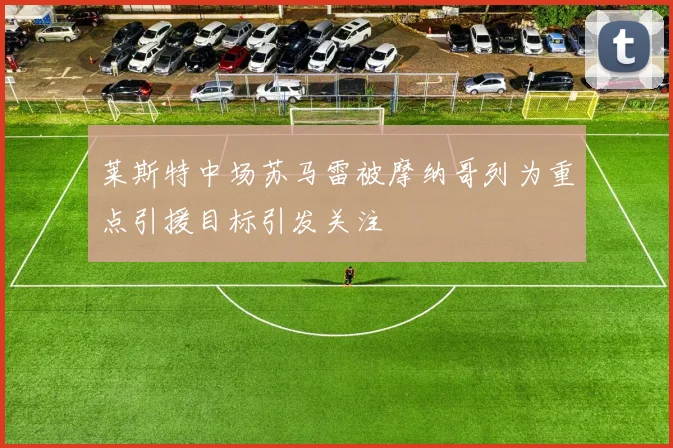 莱斯特中场苏马雷被摩纳哥列为重点引援目标引发关注