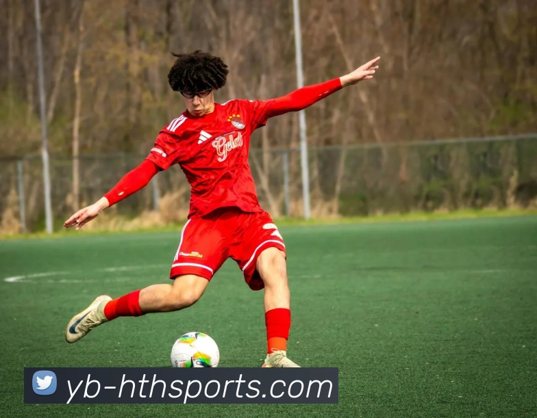 华体会体育平台生态图