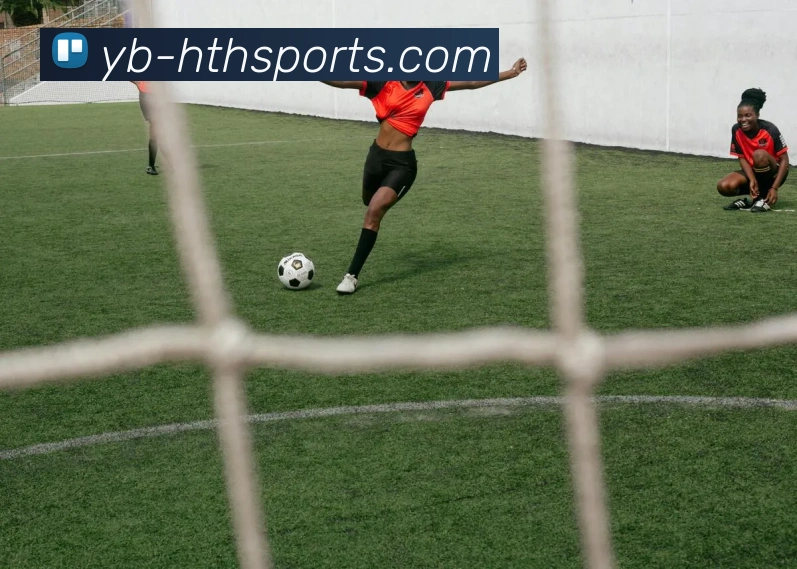 华体会体育全站App